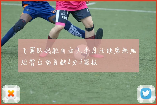 飞翼队战胜自由人李月汝缺席韩旭短暂出场贡献2分3篮板